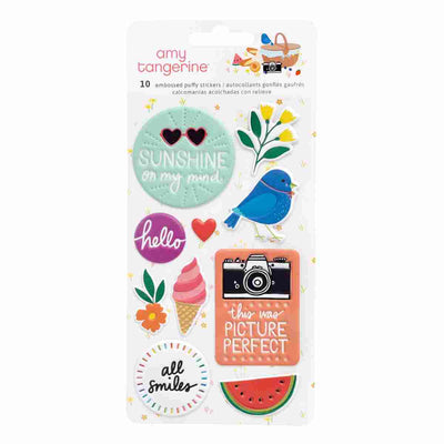 Picnic in the Park Embossed Puffy Stickers - Amy Tangerine - American Crafts - Clearance