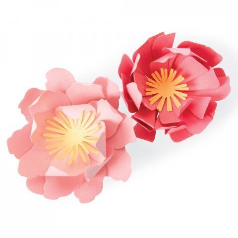 Summer Blooms Bigz Die - Jennifer Ogborn - Sizzix - Clearance