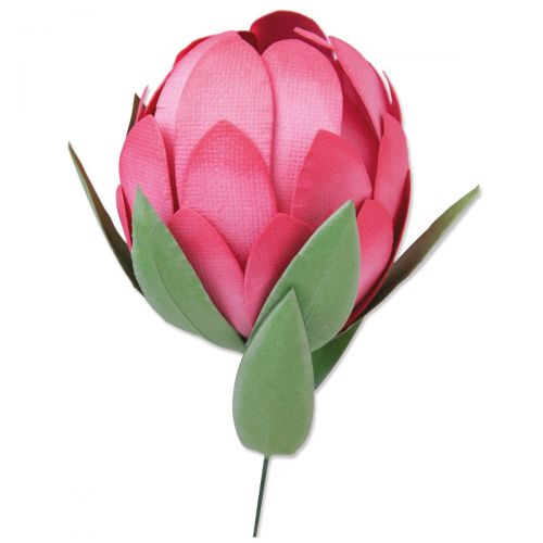 Protea Bigz Die - Olivia Rose - Sizzix - Clearance