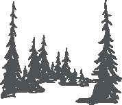 Tall Pines Thinlits Die - Tim Holtz - Sizzix
