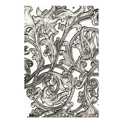 Entangled 3-D Fades Emboss Folder - Tim Holtz - Sizzix