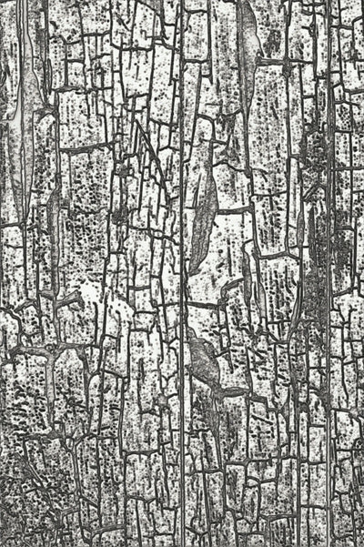 Cracked 3-D Texture Fades Emboss Folder -Tim Holtz- Sizzix