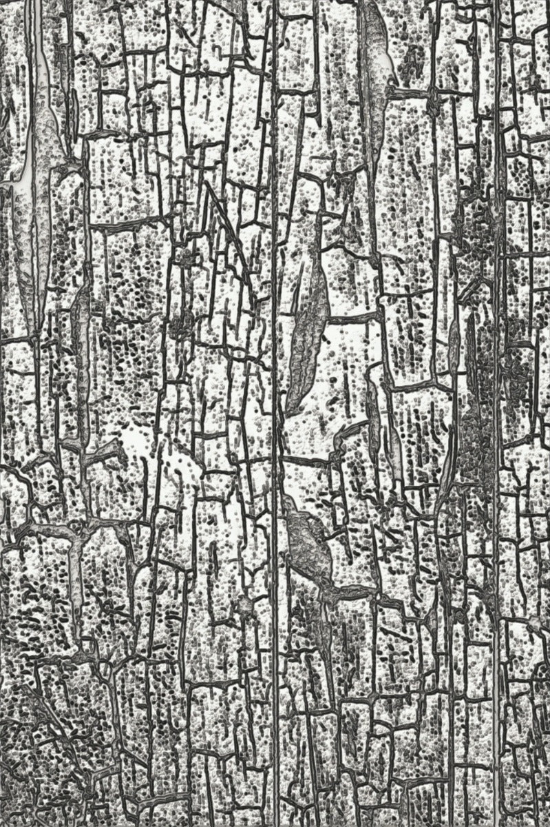 Cracked 3-D Texture Fades Emboss Folder -Tim Holtz- Sizzix