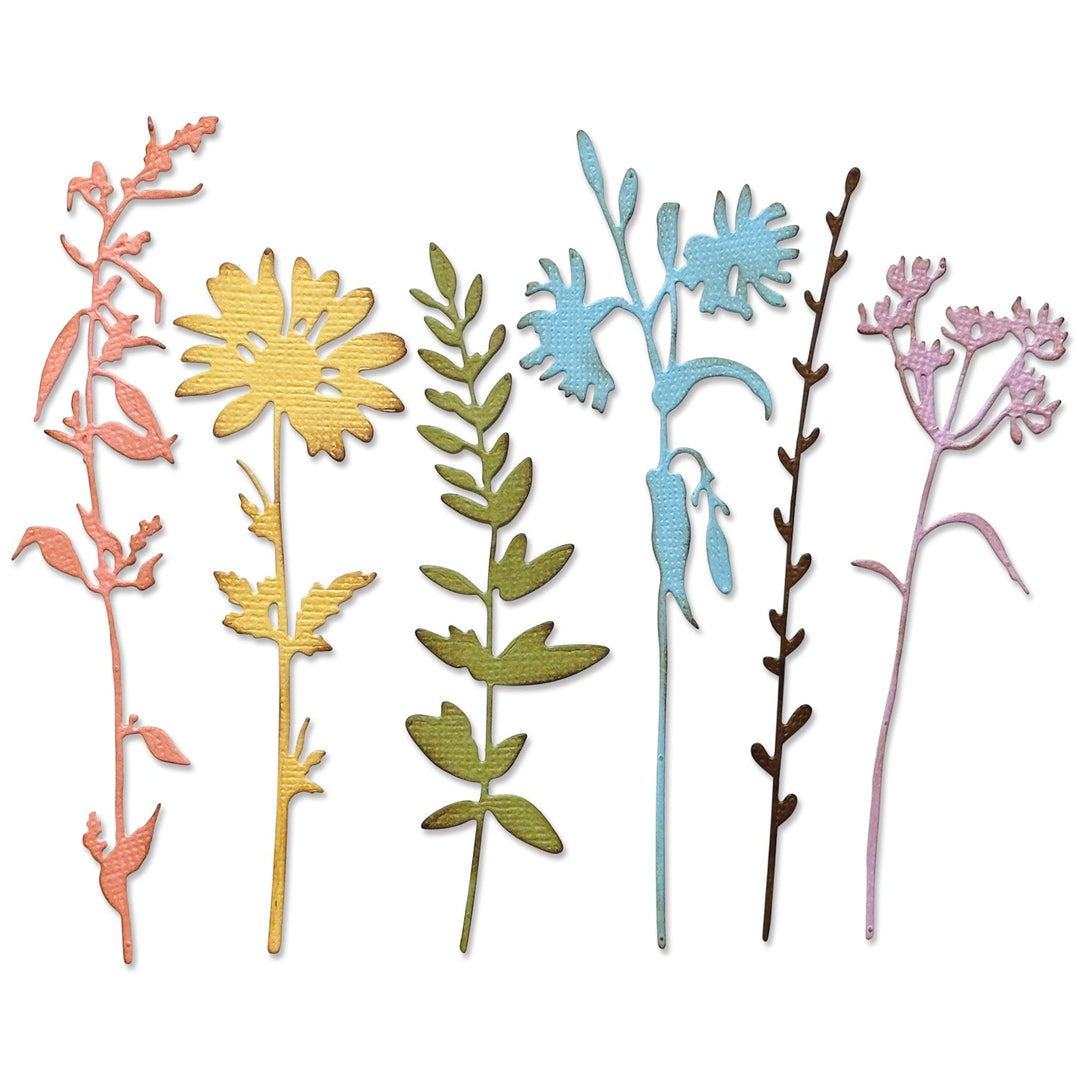 Vault Wildflowers Thinlits Die Set by Tim Holtz - Sizzix