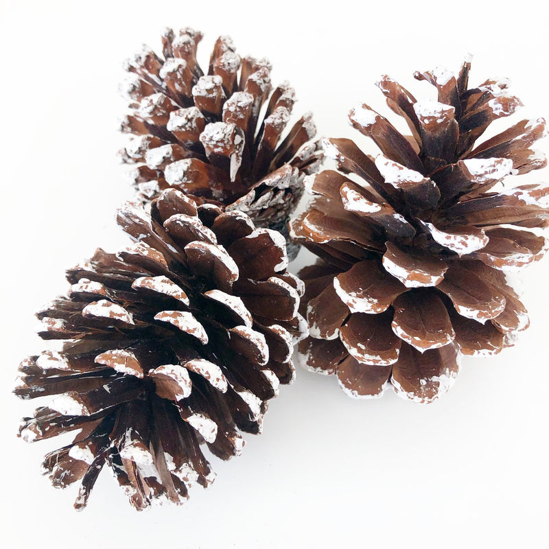 Frosted Pine Cones - Tiered Tray Decor - Foundations Decor