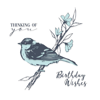 Summer Bird  Layered Clear Stamps - Olivia Rose - Sizzix