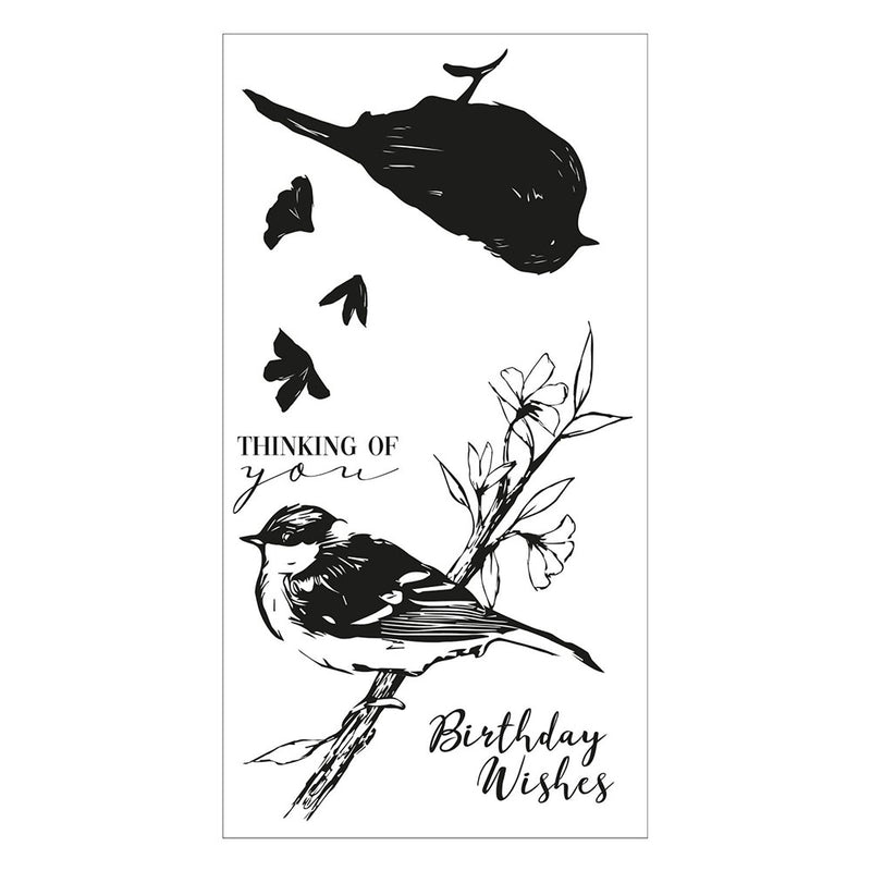 Summer Bird  Layered Clear Stamps - Olivia Rose - Sizzix