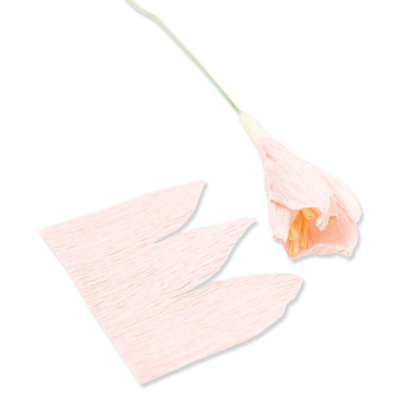 Garden Rose Thinlits Die Set - Jess Slack - Sizzix