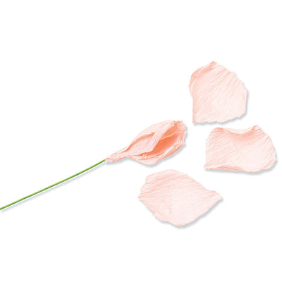 Garden Rose Thinlits Die Set - Jess Slack - Sizzix