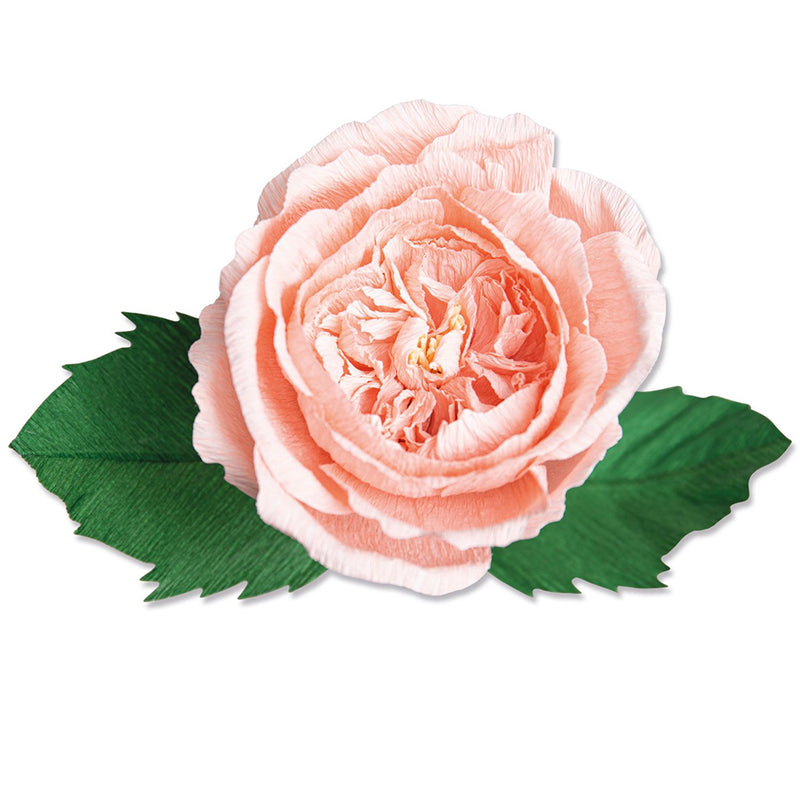 Garden Rose Thinlits Die Set - Jess Slack - Sizzix