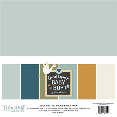 Special Delivery Baby Boy Solid Kit - Echo Park