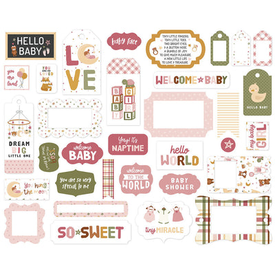 Special Delivery Baby Girl Frames and Tags - Echo Park