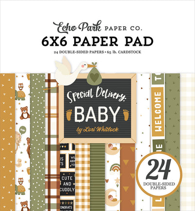 Special Delivery Baby 6" x 6" Paper Pad - Echo Park