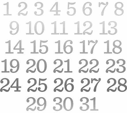 Silver Foil Decorative Numbers-Remember the Magic-Echo Park